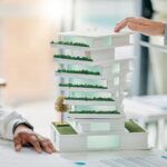 Les Matériaux de Demain : Une Révolution Stratégique et Nécessaire pour l’Écologie du Bâtiment